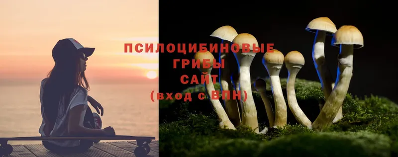 Галлюциногенные грибы MAGIC MUSHROOMS  Ялуторовск 